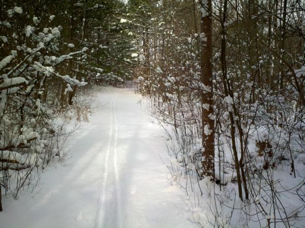 Cross-country skiing at Punderson State Park