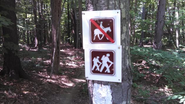 20140819-bedford-2-lo