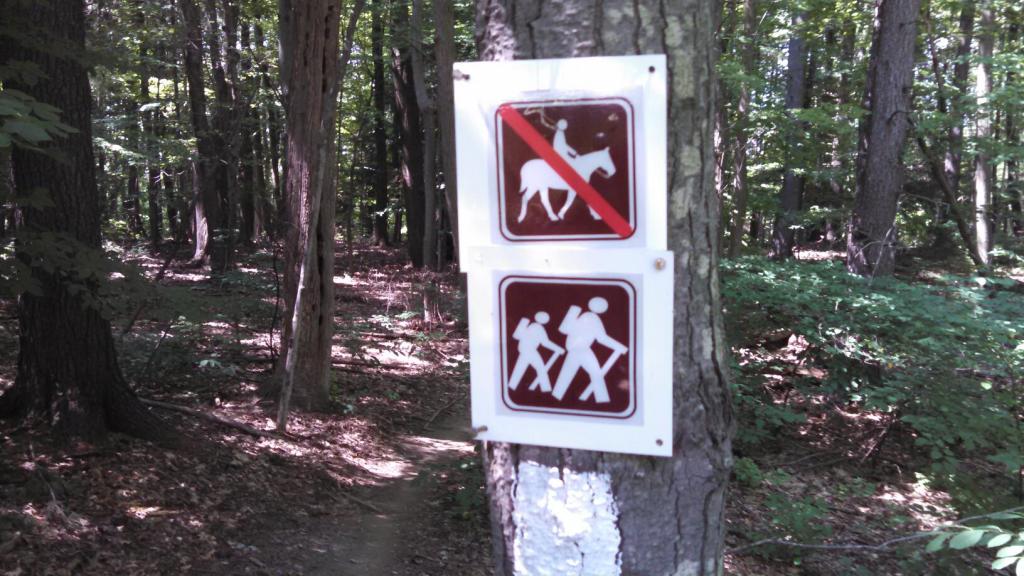 20140819-bedford-2-lo