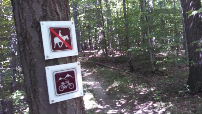 20140819-bedford-3-lo